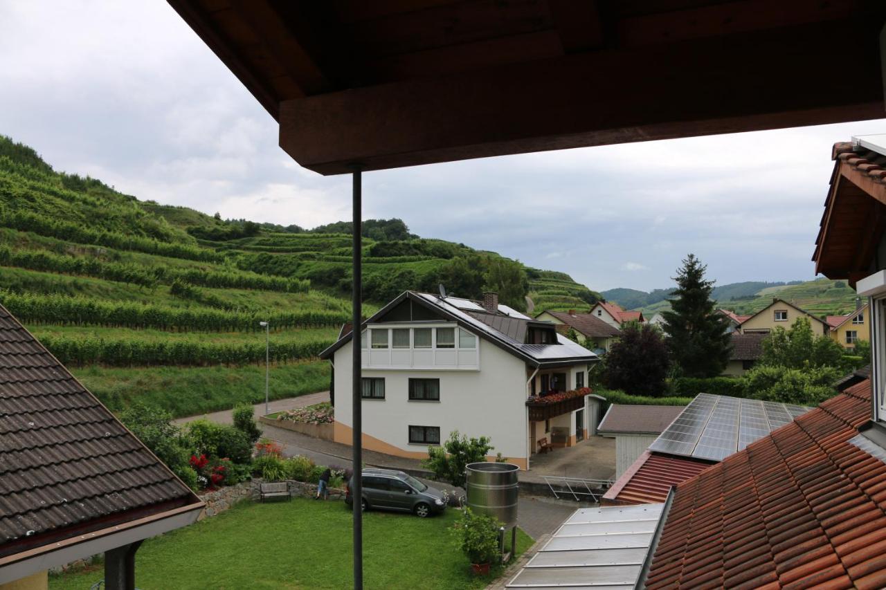 福格茨堡Weingut & Strausswirtschaft Vogel公寓 外观 照片