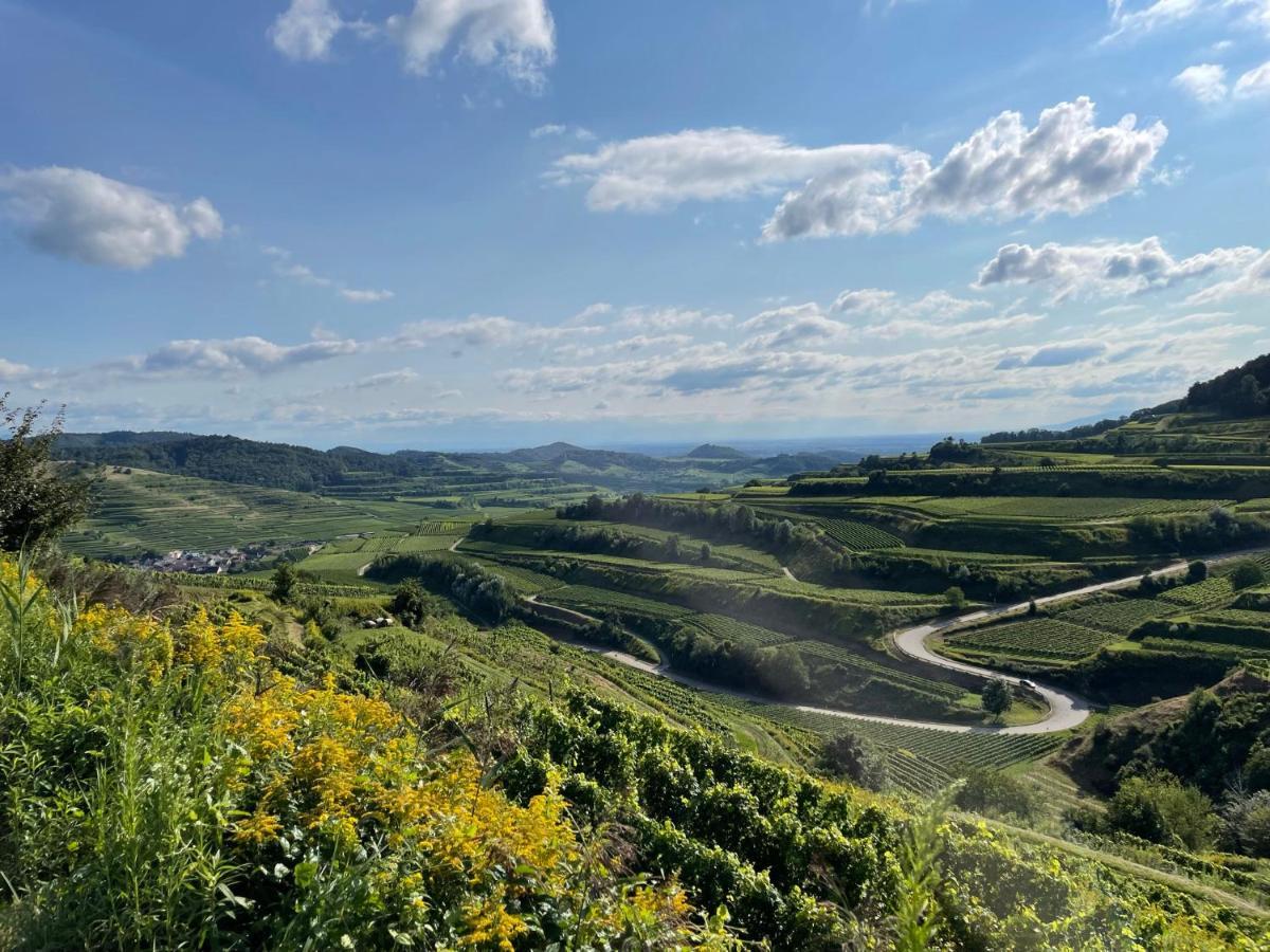 福格茨堡Weingut & Strausswirtschaft Vogel公寓 外观 照片
