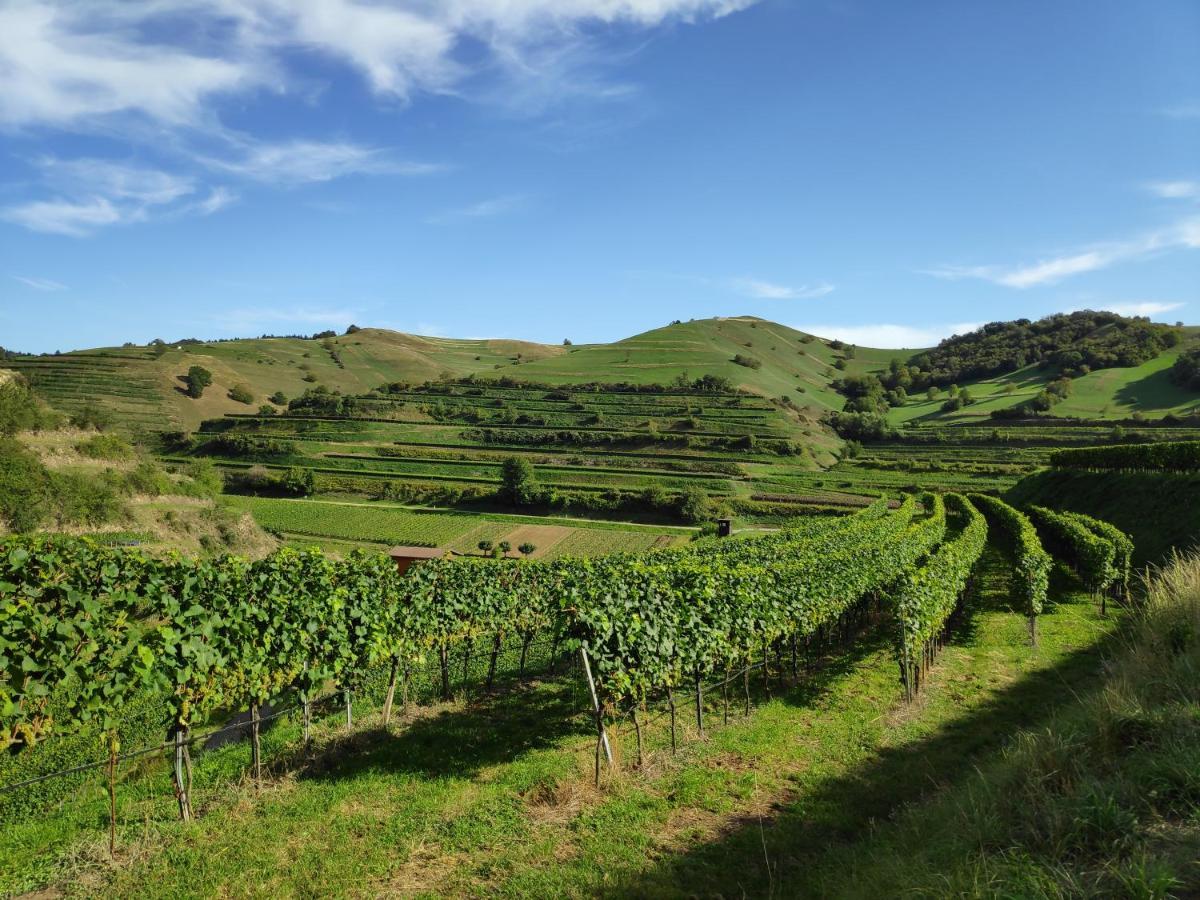 福格茨堡Weingut & Strausswirtschaft Vogel公寓 外观 照片