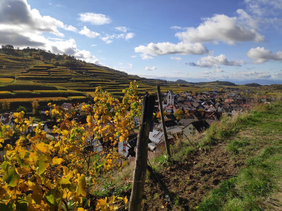 福格茨堡Weingut & Strausswirtschaft Vogel公寓 外观 照片