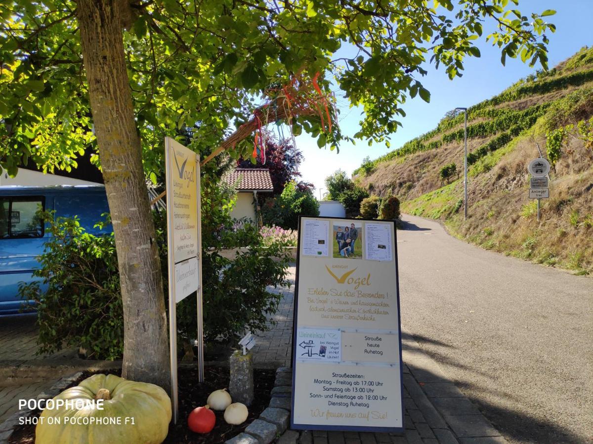 福格茨堡Weingut & Strausswirtschaft Vogel公寓 外观 照片