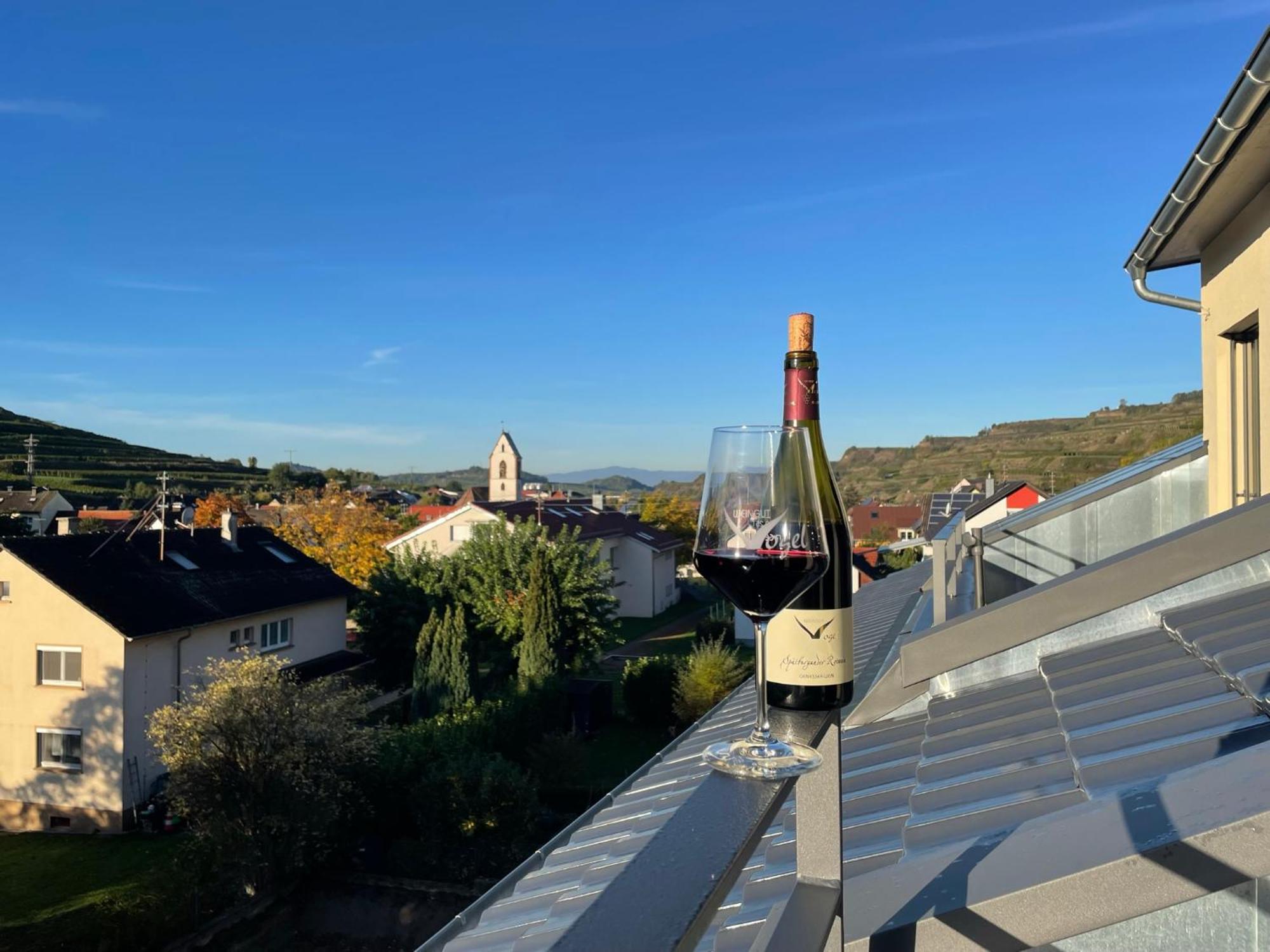 福格茨堡Weingut & Strausswirtschaft Vogel公寓 外观 照片
