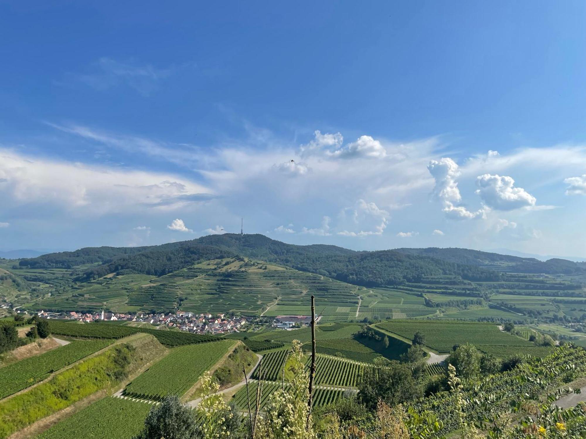 福格茨堡Weingut & Strausswirtschaft Vogel公寓 外观 照片