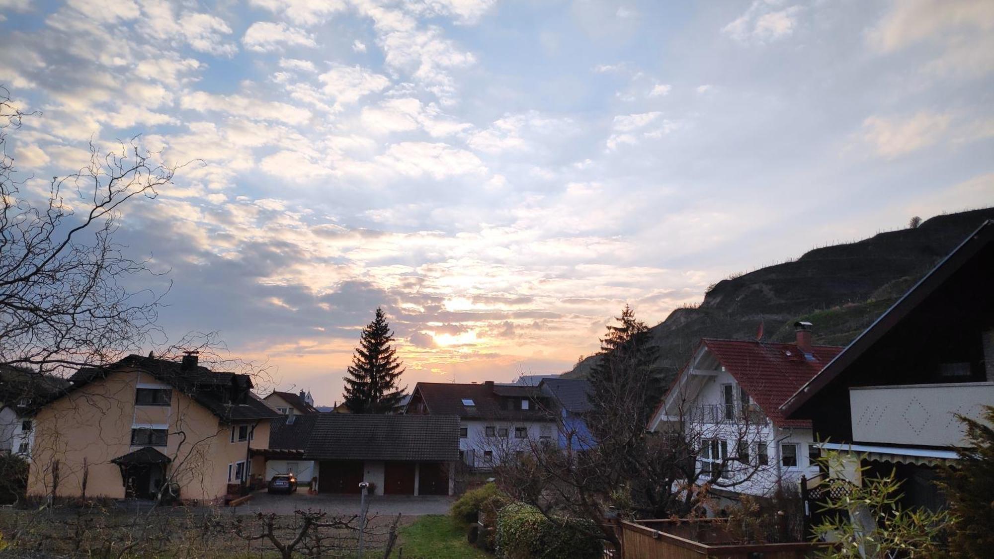 福格茨堡Weingut & Strausswirtschaft Vogel公寓 外观 照片