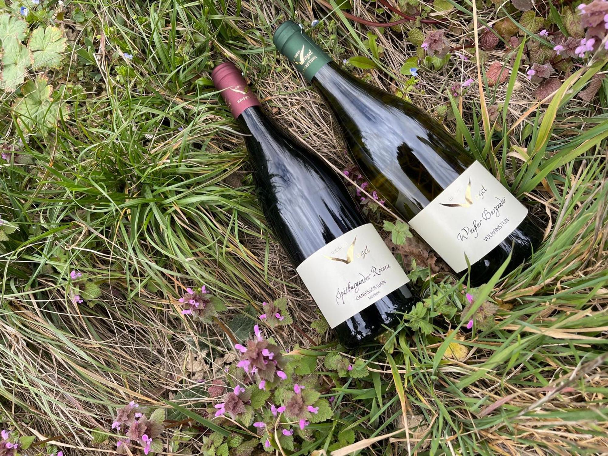 福格茨堡Weingut & Strausswirtschaft Vogel公寓 外观 照片