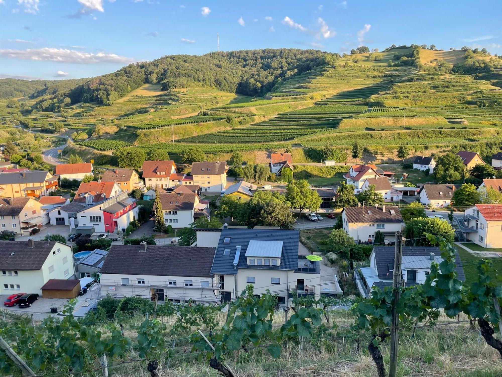 福格茨堡Weingut & Strausswirtschaft Vogel公寓 外观 照片